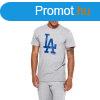 Frfi pl New Era LA Dodgers T-shirt Grey