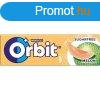 Orbit Drazse 14G Melon (Srgadinnye)