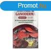 DR.CHEN SHIITAKE INST. GANODERMA TEA FIL