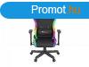 Natec Genesis Trit 600 RGB Gaming Chair Black