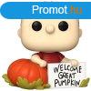 POP! TV: Linus (Peanuts)  