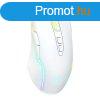 Gaming mouse onikuma CW905 white wired