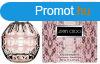 Jimmy Choo Jimmy Choo - EDP 100 ml