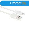 ACT AC3092 USB 2.0 charging/data cable A male - Lightning ma