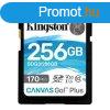 Kingston 256GB SDXC Canvas Go! Plus Class 10 170R C10 UHS-I 