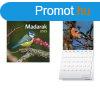 Naptr, fali, TOPTIMER "Madarak"