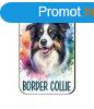 Kutys fa htmgnes, Border Collie, barns