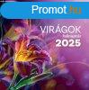 Virgok falinaptr - 2025