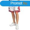 Mitchell & Ness shorts Chicago Bulls white Swingman Shor