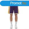 Mitchell & Ness shorts Los Angeles Lakers purple/yellow 