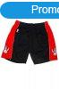 Mitchell & Ness shorts Toronto Raptors Swingman Shorts b