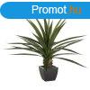 Mnvny, agv, 124 cm - AGAVE - Butopa