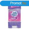 Lady Speed Stick Gl 65g Pro 5in1