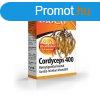 Bioco cordyceps 400 tabletta 90 db