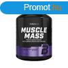 BiotechUSA Muscle Mass 4000g vanlia