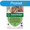 Parazitaellenes Advantage Macska Nyl +4 Kg 4 egysg 0,8 ml 