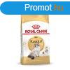 Macska eledel Royal Canin Ragdoll Adult Felntt 2 Kg MOST 31