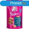 Snack for Cats Vitakraft Cat Yums Salmon Hal 40 g MOST 1988 