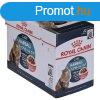 Macska eledel Royal Canin Hairball Care Gravy Hs 12 x 85 g 