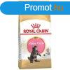 Macska eledel Royal Canin Maine Coon Kitten madarak 2 Kg MOS