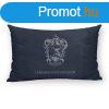 Prnahuzat Harry Potter Ravenclaw kk 30 x 50 cm MOST 12274 