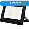 OMEGA50 LED FLOODLIGHT 50W 5500K IP65+EM