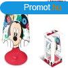 Disney Mickey mini LED lmpa