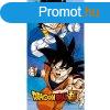 Dragon Ball Super frdleped, strand trlkz 70x140cm (Fa