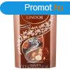 Lindt Lindor Hazelnut tejcsok.golyk dszdob.200g/8/