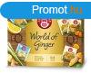 Teekanne world of ginger gymbr teavlogats 55 g