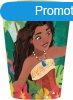 Disney Vaiana Lagoon manyag pohr 260 ml