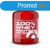 100%25 Whey Protein Professional 2350g fehrcsokold