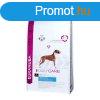 Eukanuba Daily Care Sensitive Joints kutyatp 12kg