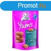 Vitakraft Cat Yums Jutalomfalat Puha Lazac 40g