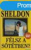 Sidney Sheldon - Flsz a sttben?