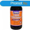 Now liquid chlorophyll borsmenta z 473 ml