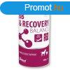 VetFood BB & Recovery Balance 500 g