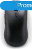 Glorious Model O 2 PRO Series Wireless Mouse Black