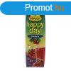 RAUCH HAPPY DAY VRSFONYA 30% 1000ML