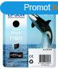 Epson T7601 Photo Black