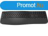 HP 685 Comfort Dual-Mode Wireless keyboard Black HU