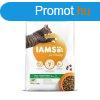 Iams Cat Adult Lamb macskatp 10kg