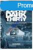 Zero Dark Thirty DVD 