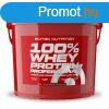 Scitec Nutrition 100% Whey Protein Professional 5000g