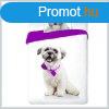 Kutys Havanese gynemhuzat 140200cm FRA548255