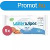 WATERWIPES Nedves trlkendk, manyagmentes 5x60 db (300 db