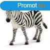 Schleich Zebra kanca