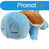 Plssjtk Sleeping Squirtle (Pokmon)