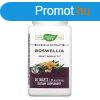 NATURES WAY BOSWELLIA TABLETTA