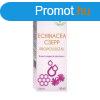 Blint cseppek echinacea csepp propolisszal 50 ml